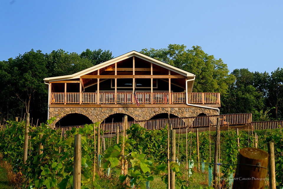 bluemont vineyard