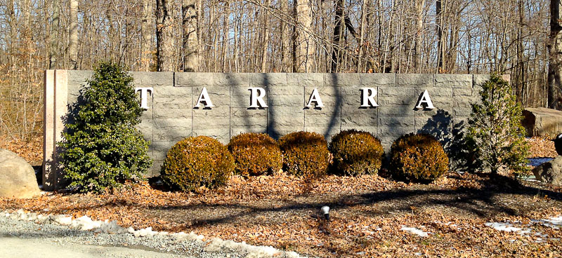 Tarara Winery Tour