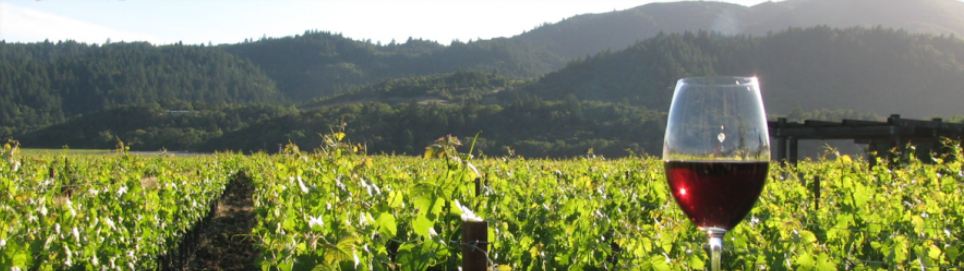 Wine wineries in Loundon County
