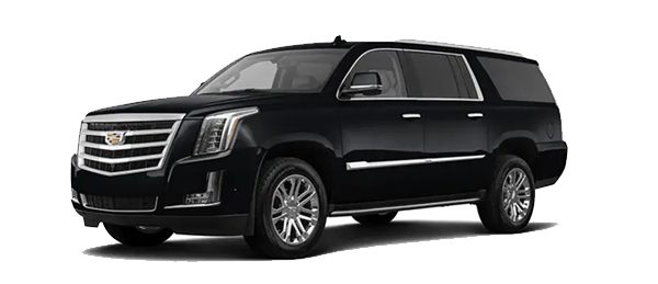 Black Hawk Sedans luxury fleet vehicles parked and ready for private city tours in Columbia MD